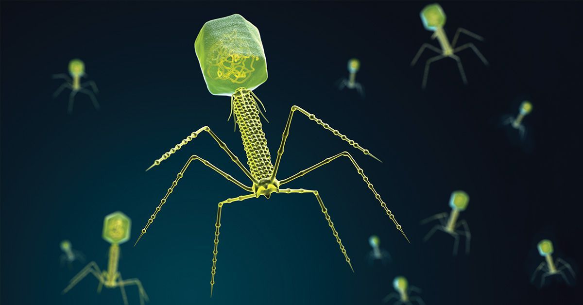 Scientists Harness Jumbo Viruses to Combat Drug-Resistant Bacteria