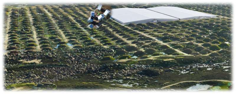 Scientists Unravel Cosmic Ray Mystery Linked to Black Holes