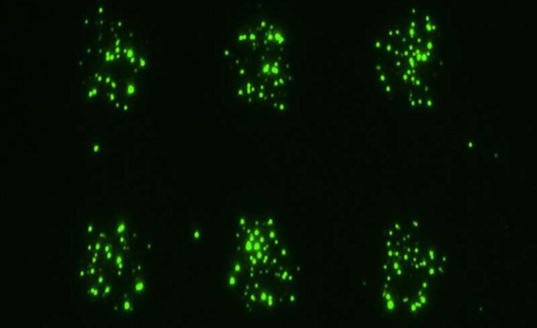 Scientists Unveil Groundbreaking Technology to Track Cell Messages