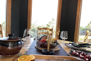 Thanksgiving Plants Spark Urgent Conversations at Holiday Tables