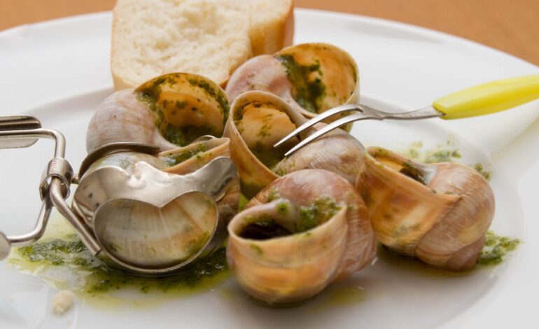 Thieves Steal $100K Worth of Snails from French Farm Overnight