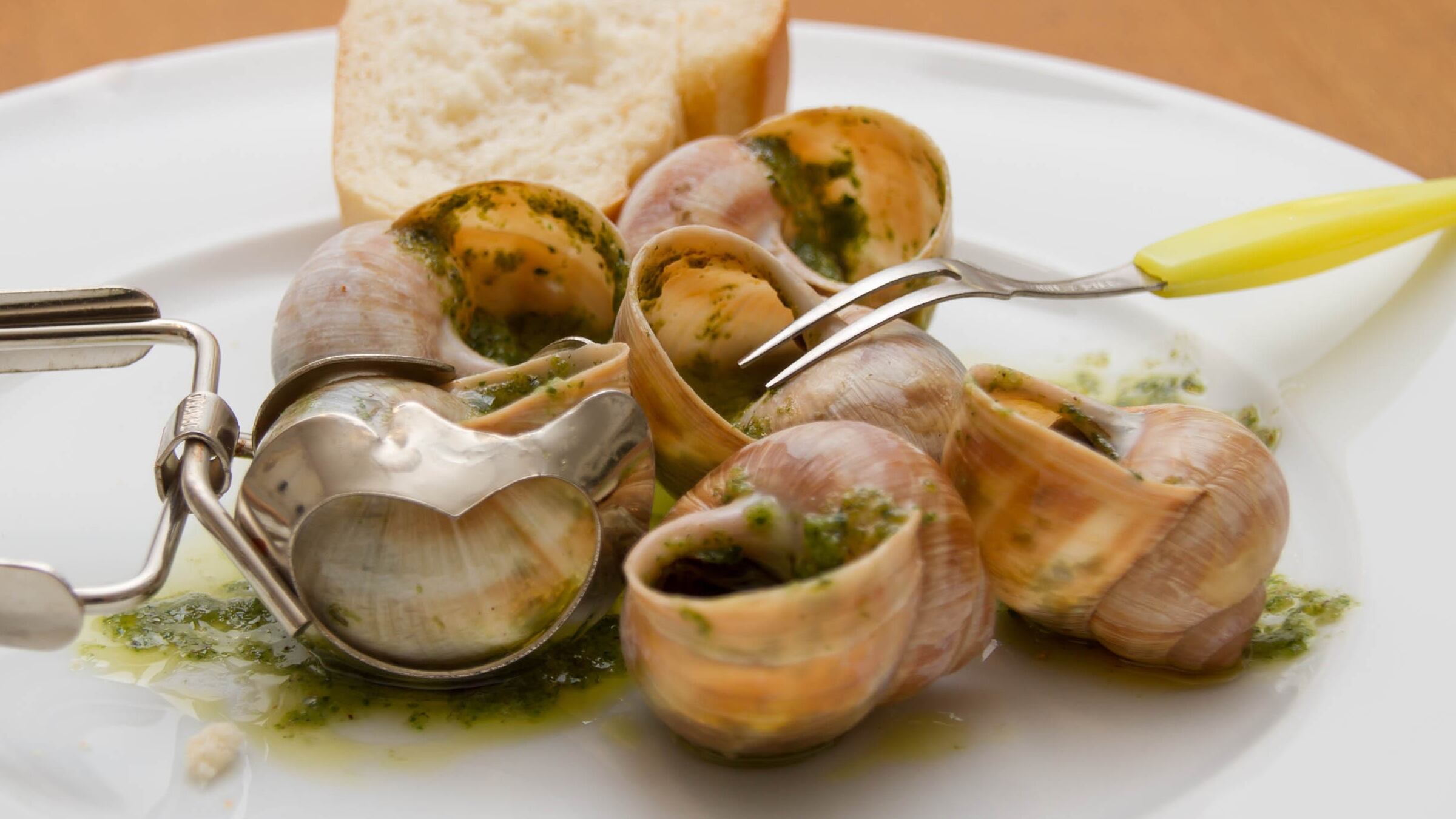 Thieves Steal $100K Worth of Snails from French Farm Overnight