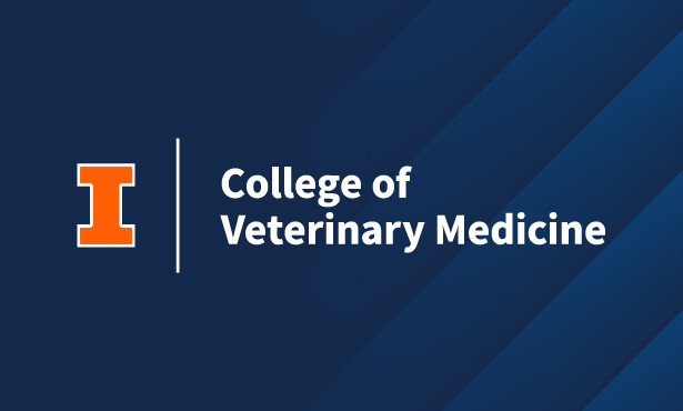 Understanding Pet Allergies: Insights from Veterinary Experts