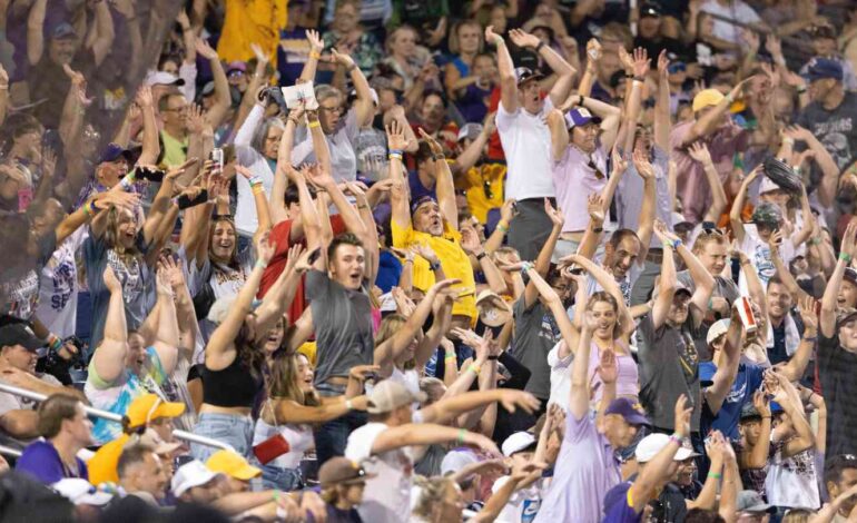 Uniting Through Joy: The Power of Collective Experiences