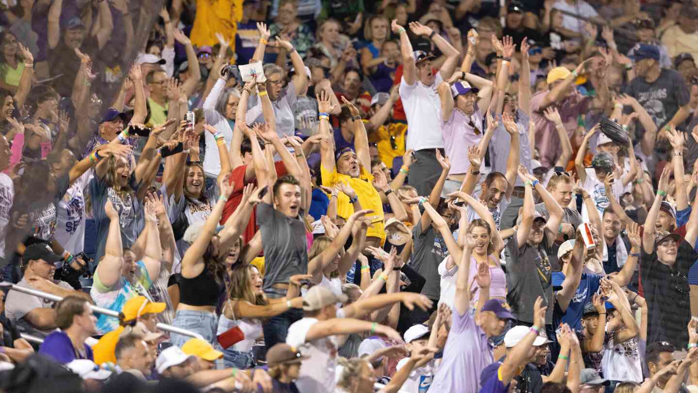 Uniting Through Joy: The Power of Collective Experiences