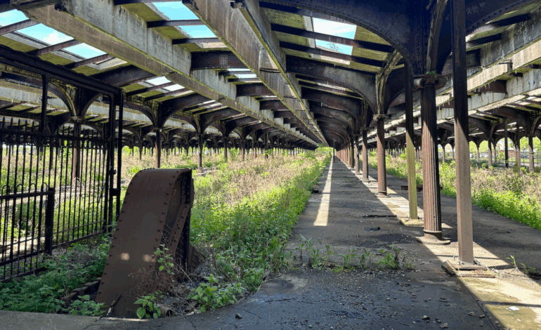Urgent Call to Transform CRRNJ Terminal into Railway Museum