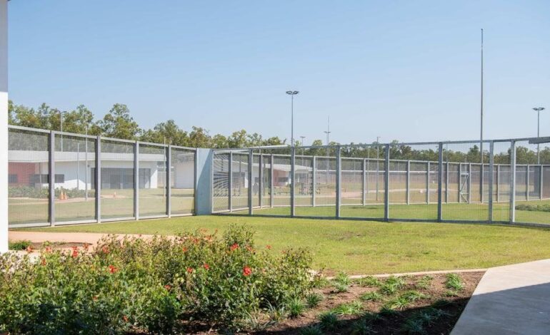 Urgent: Children Transferred from Alice Springs to Darwin Without Notice