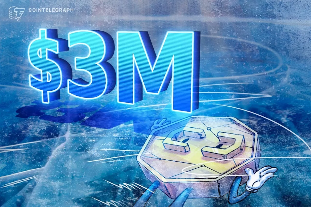 Urgent Update: Orca Calf J64 Confirmed Dead, Experts Say