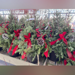 Urgent Update: Transform Your Home with Winter Containers NOW