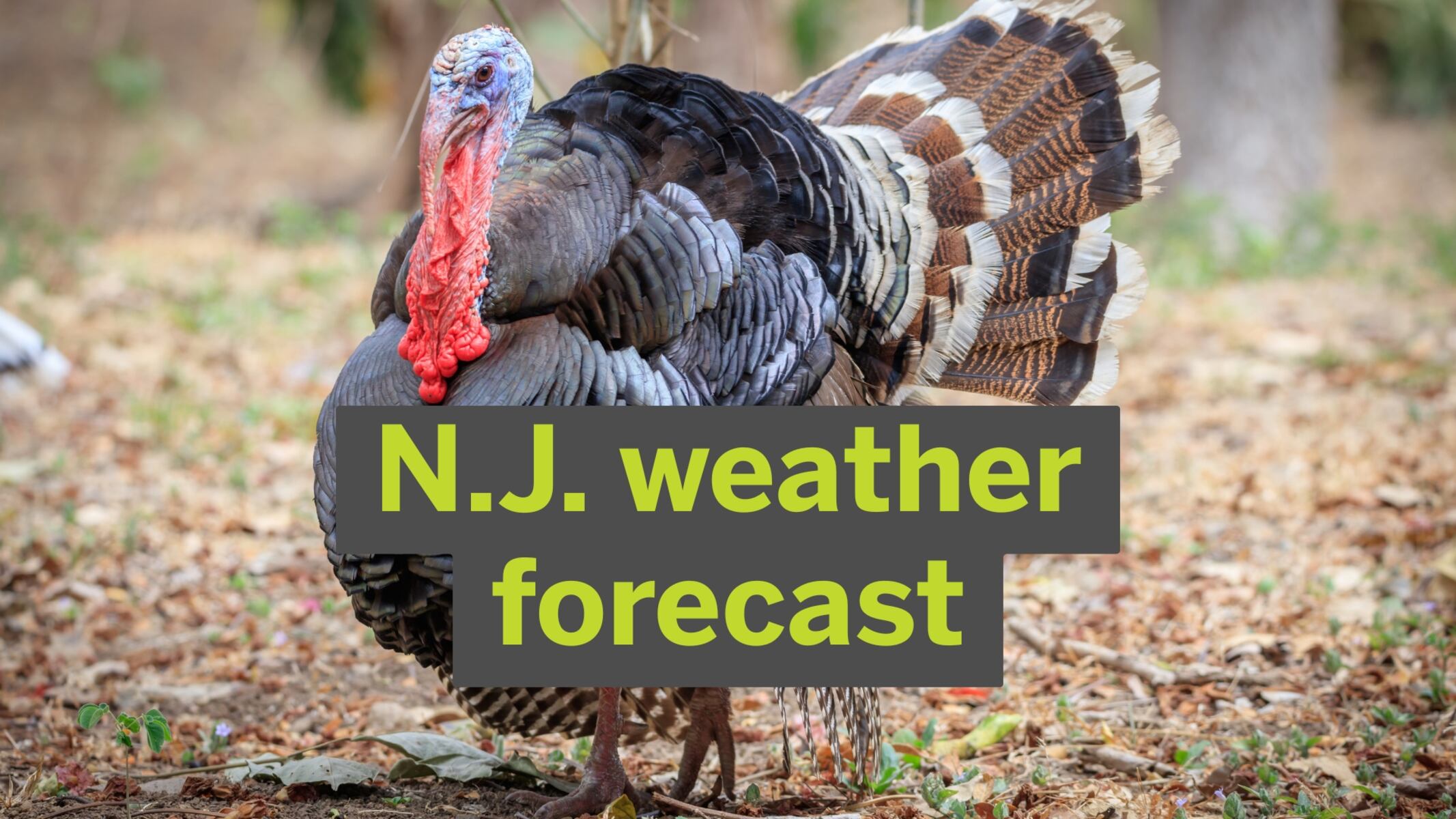 Urgent Weather Changes Ahead of Thanksgiving Travel in N.J.