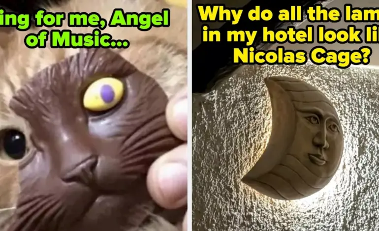 100 Hilarious Photos Go Viral: Internet Rallies for Laughter