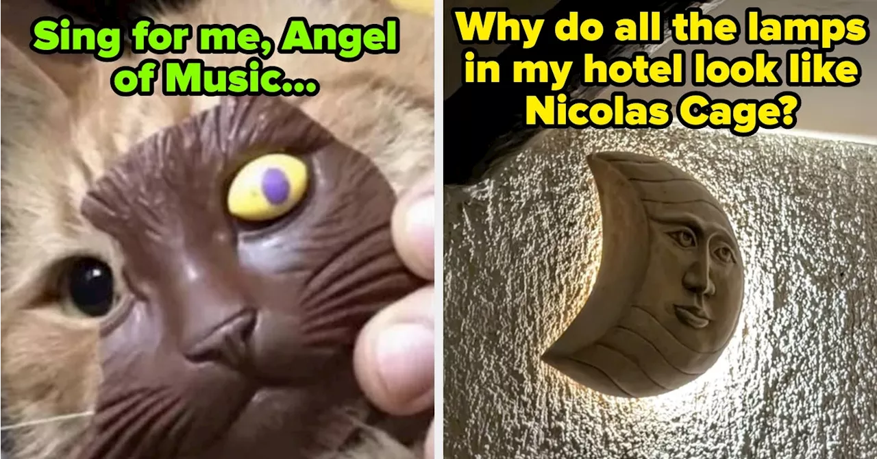 100 Hilarious Photos Go Viral: Internet Rallies for Laughter