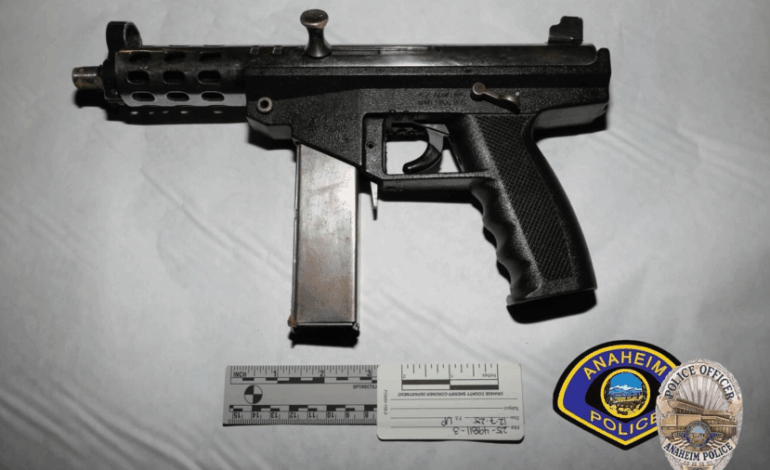19-Year-Old Killed, 18-Year-Old Injured in Anaheim Police Incident