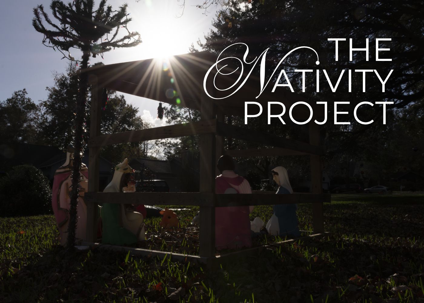 Arlington Museum Unveils “The Nativity Project” Exhibit Now