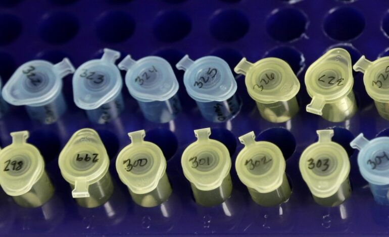 Breaking: DNA Test Exonerates Man After 40 Years in Prison