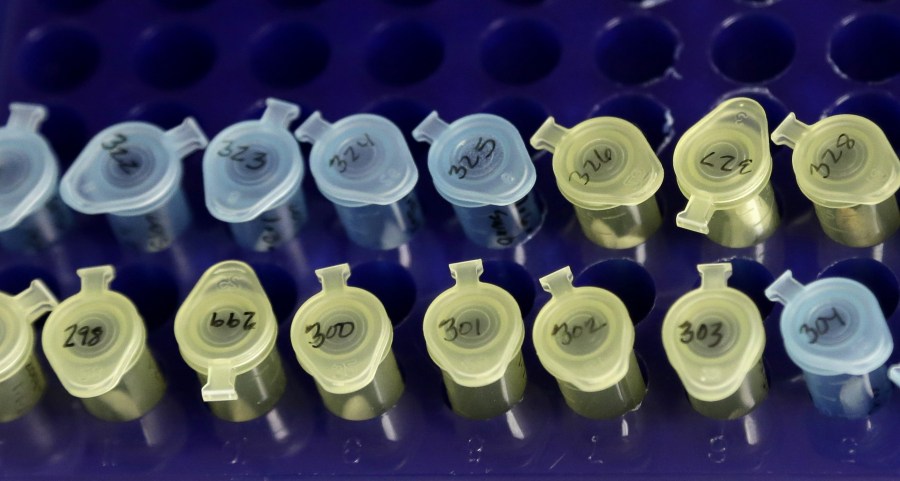 Breaking: DNA Test Exonerates Man After 40 Years in Prison