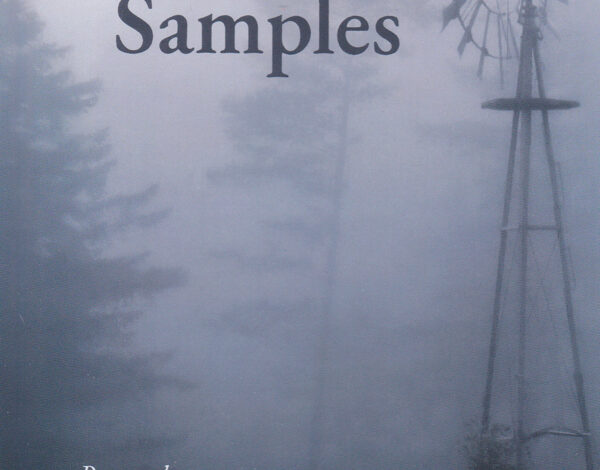 Chico Poet Reflects on Life and New Beginnings in New Collection