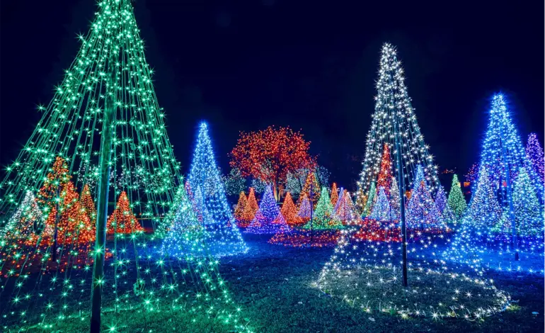 Denver Unveils Spectacular Holiday Light Displays for 2025
