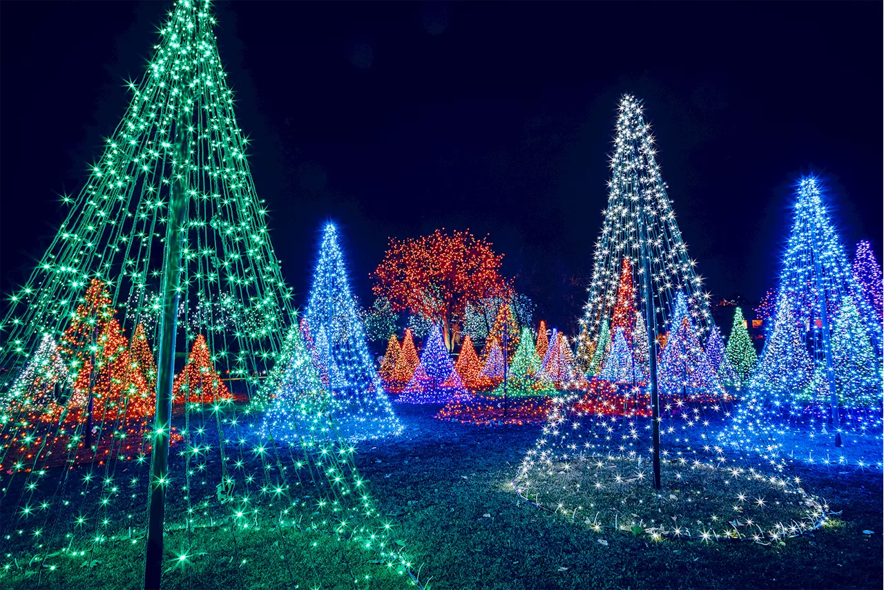 Denver Unveils Spectacular Holiday Light Displays for 2025