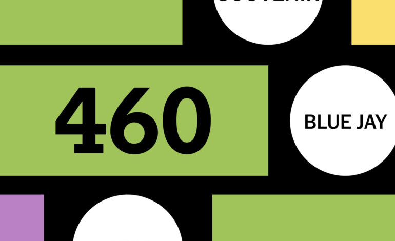 Dive into Connections: Sports Edition Puzzle No. 460 Hints