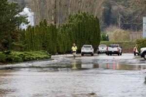 Driver Found Dead in Submerged Car After Seattle Flooding