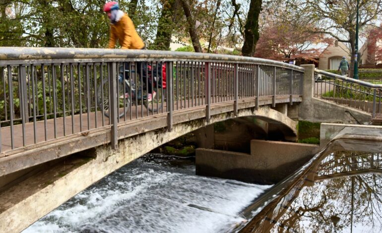 E. coli Threat Over: Big Chico Creek Declared Safe for Swimming