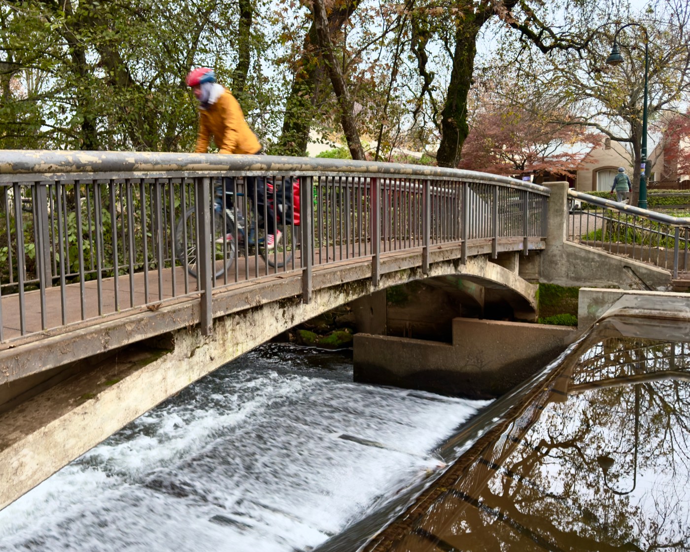 E. coli Threat Over: Big Chico Creek Declared Safe for Swimming