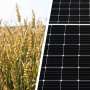 Finland Validates Solar-Crop Dual Use in Urgent Energy Shift