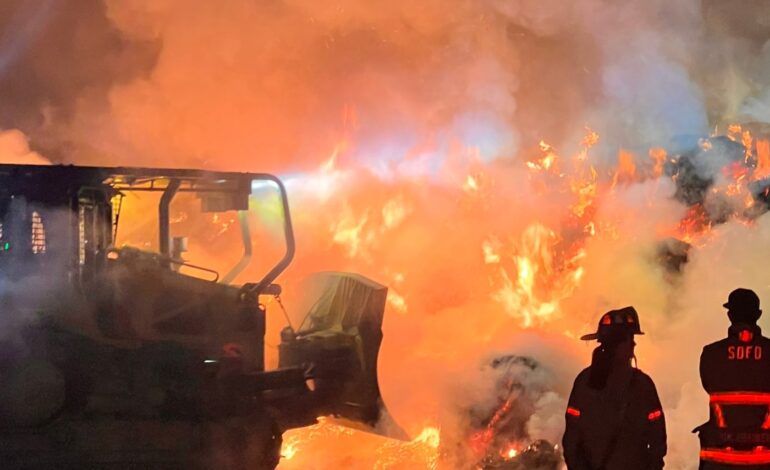 Firefighters Battle Hay Blaze in San Pasqual Valley for 11 Hours