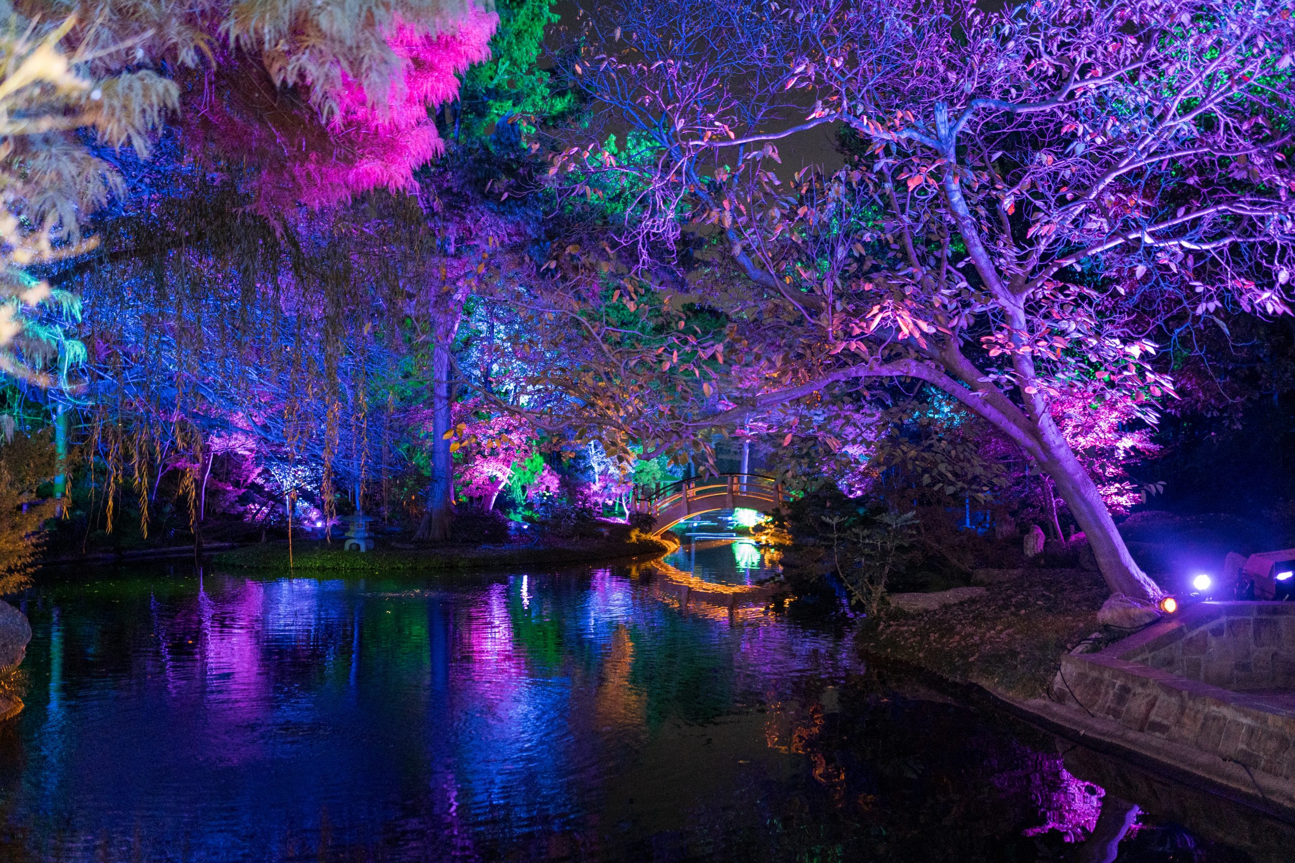 Fort Worth Botanic Garden Launches Spectacular Holiday Light Show