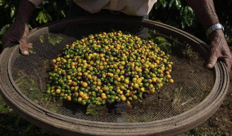 Global Economies Suffer as US Tariffs Drive Market Changes