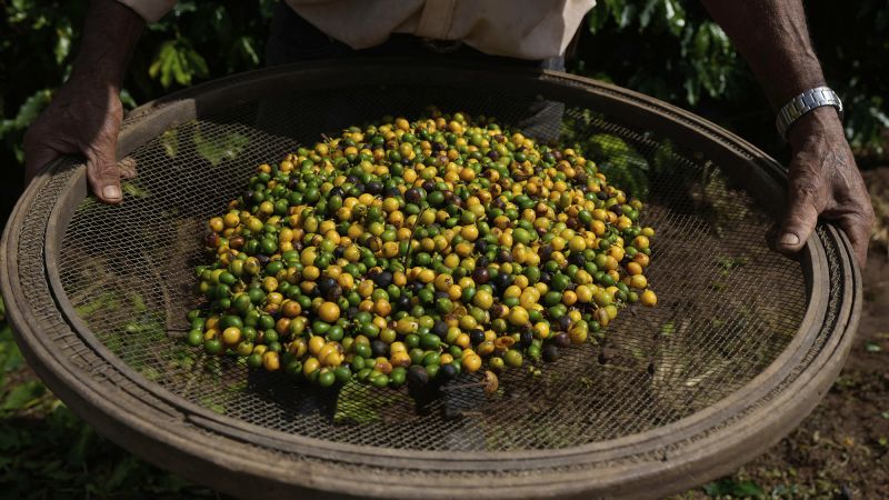 Global Economies Suffer as US Tariffs Drive Market Changes