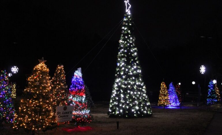 Granite Quarry’s Christmas at the Lake Lights Up Community Spirit