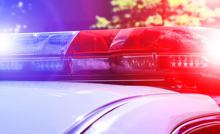 Gunfire Erupts at Toddler’s Birthday in California; 4 Dead