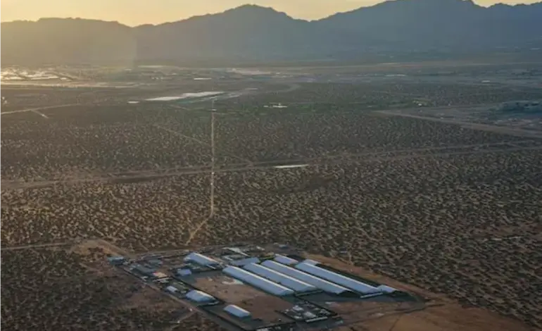 Human Rights Groups Demand Action Over Fort Bliss Abuse Allegations