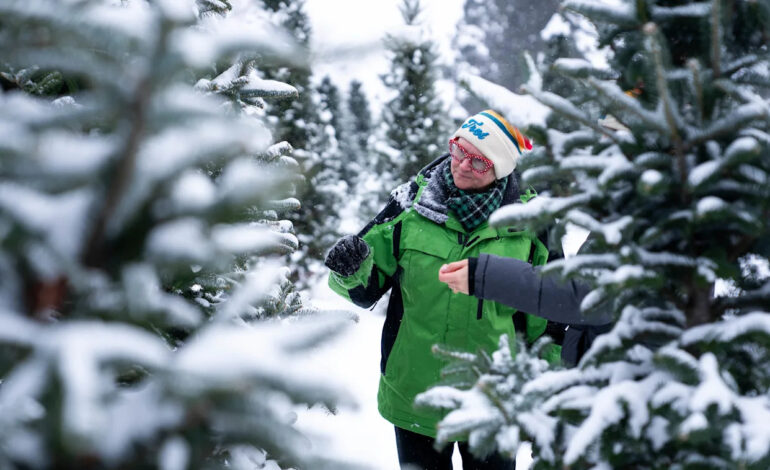 Iowa Residents Urged to Check Snowfall Totals as Winter Hits Hard