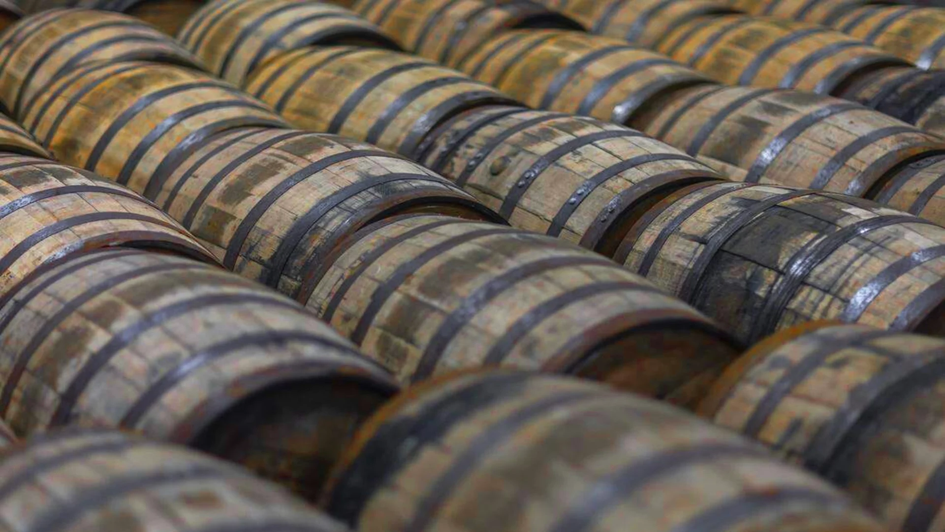 Jim Beam Shuts Kentucky Facility for 2026 Amid Industry Decline