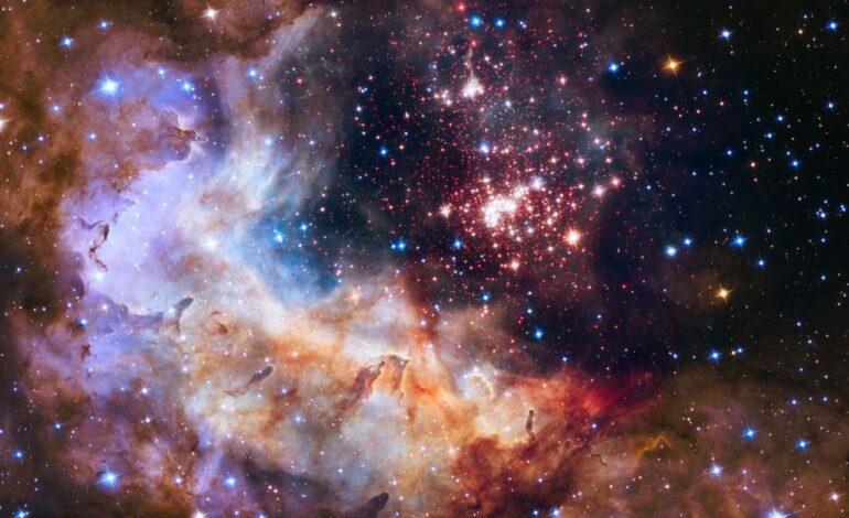 New Study Reveals Shocking Truth About Cats’ Nine Lives