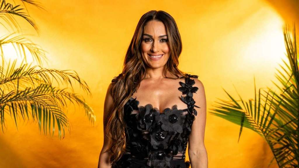 Nikki Bella Sparks Romance Rumors with Cooper DeJean Jersey