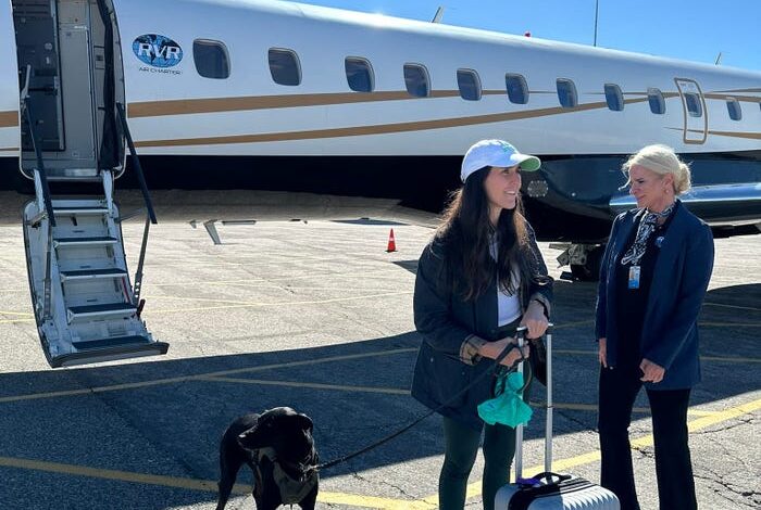 RetrievAir Launches Pet-Friendly Flights for Large Dogs, Fares $775