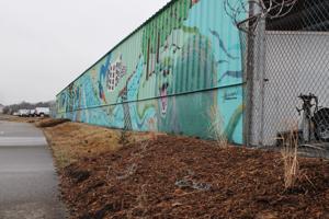 Riverview Rotary Club Installs Urgent Pollinator Garden Today