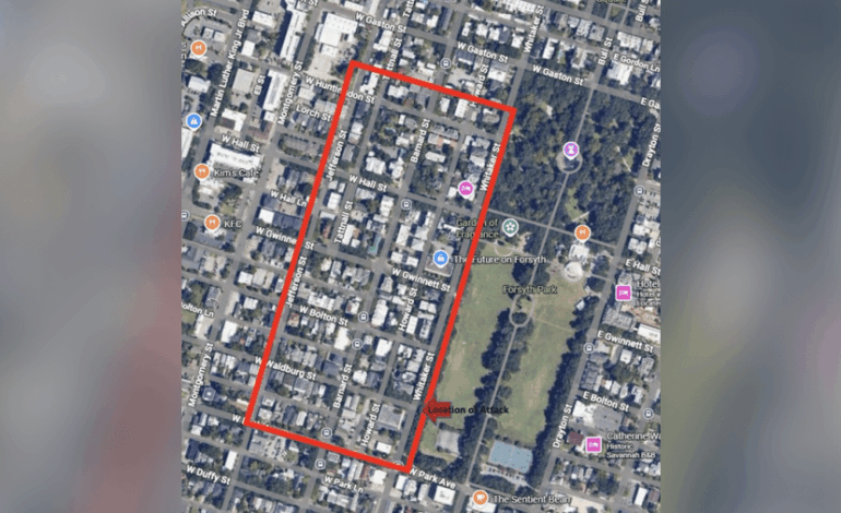 Savannah Police Urgently Seek Footage from Forsyth Park Area