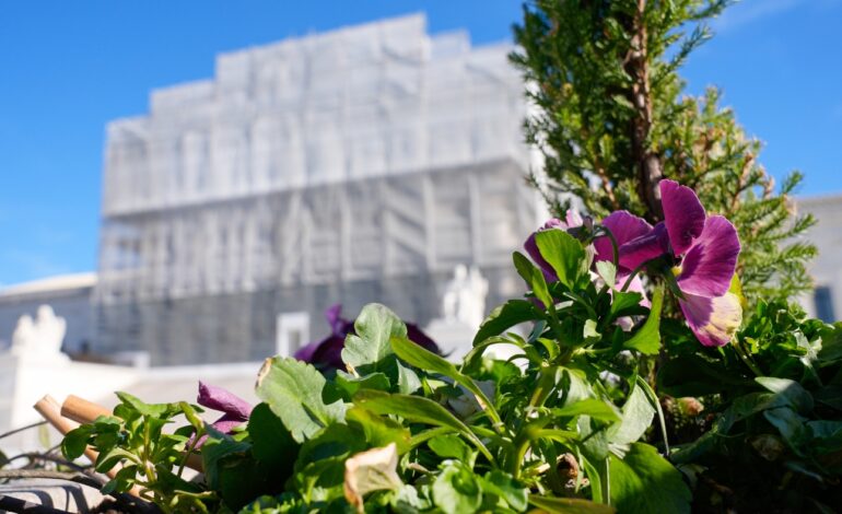 Supreme Court to Hear Urgent Case on Controversial Pregnancy Centers