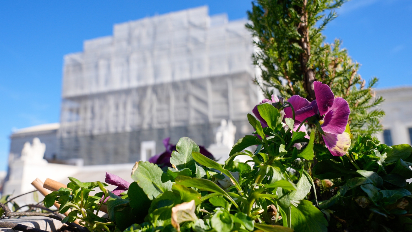 Supreme Court to Hear Urgent Case on Controversial Pregnancy Centers