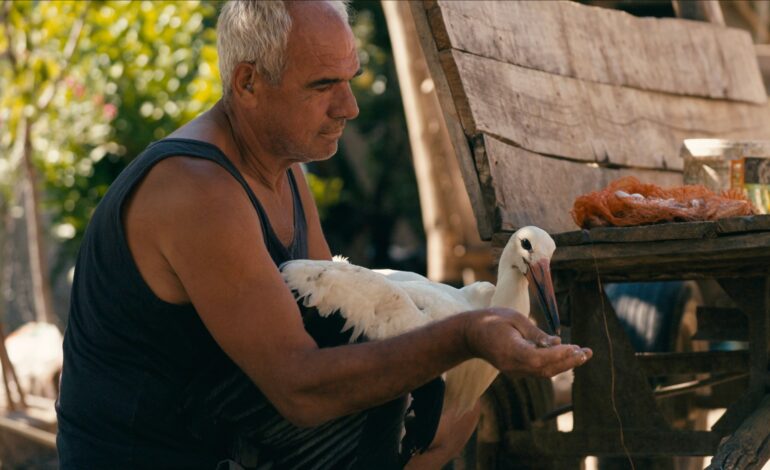 ‘The Tale of Silyan’ Wins Best Feature at IDA Awards 2025