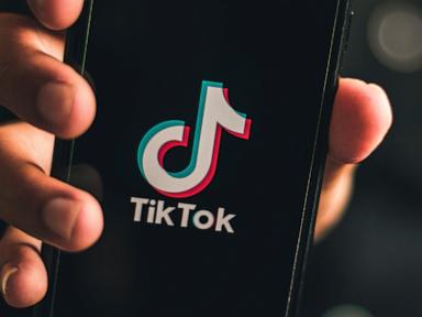 TikTok Signs Urgent Deal for U.S. Joint Venture Amid Security Concerns
