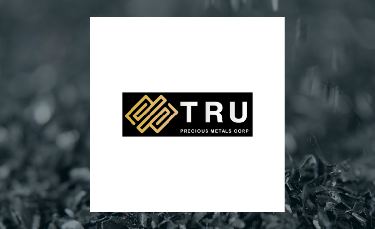 TRU Precious Metals Shares Surge 33.3%: Investment Potential Explored