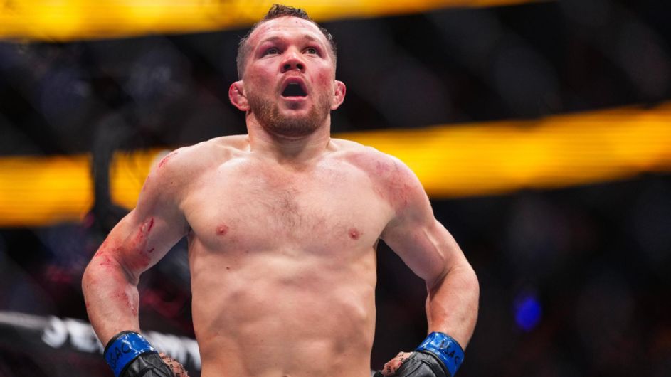 UFC 323 Winners Eye Title Fights: Yan and Van’s Next Moves