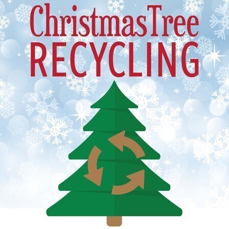 Urgent: Coastal Empire & Lowcountry Christmas Tree Recycling Locations Announced