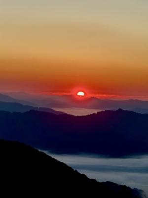 Urgent: Great Toy Takeaway Donations Open Until Friday at Noon